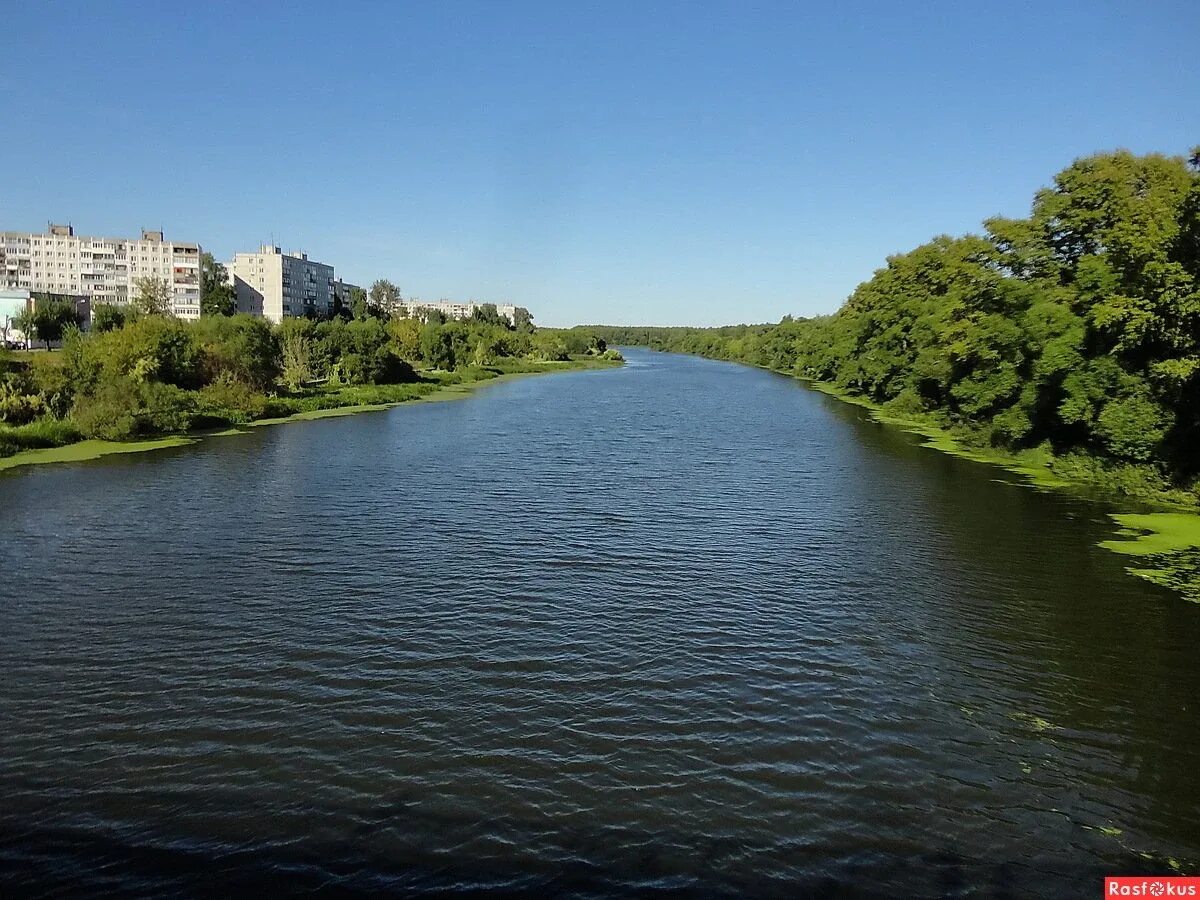 Клязьма орехово зуево. Река клязьма орехово-зуево. набережная клязьмы в орехово-зуево. река в орехово зуево. клязьма река в орехово-зуево летом.