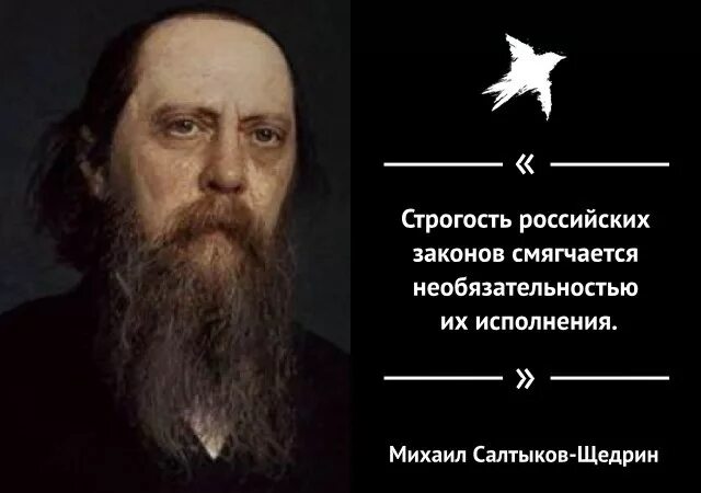 Законы и их исполнение. Строгость российских законов салтыков-щедрин. Особенности подзаконных актов. Подзаконные правовые акты виды. Законы и их исполнение.