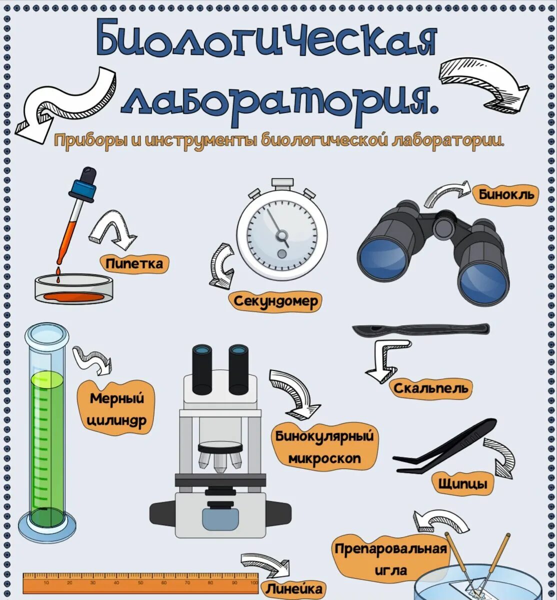 Приборы и инструменты биологической лаборатории. Приборы и инструменты биологической лаборатории 5 класс. Инструменты для биологии. Приборы и инструменты в биологии. Биологическое оборудование список