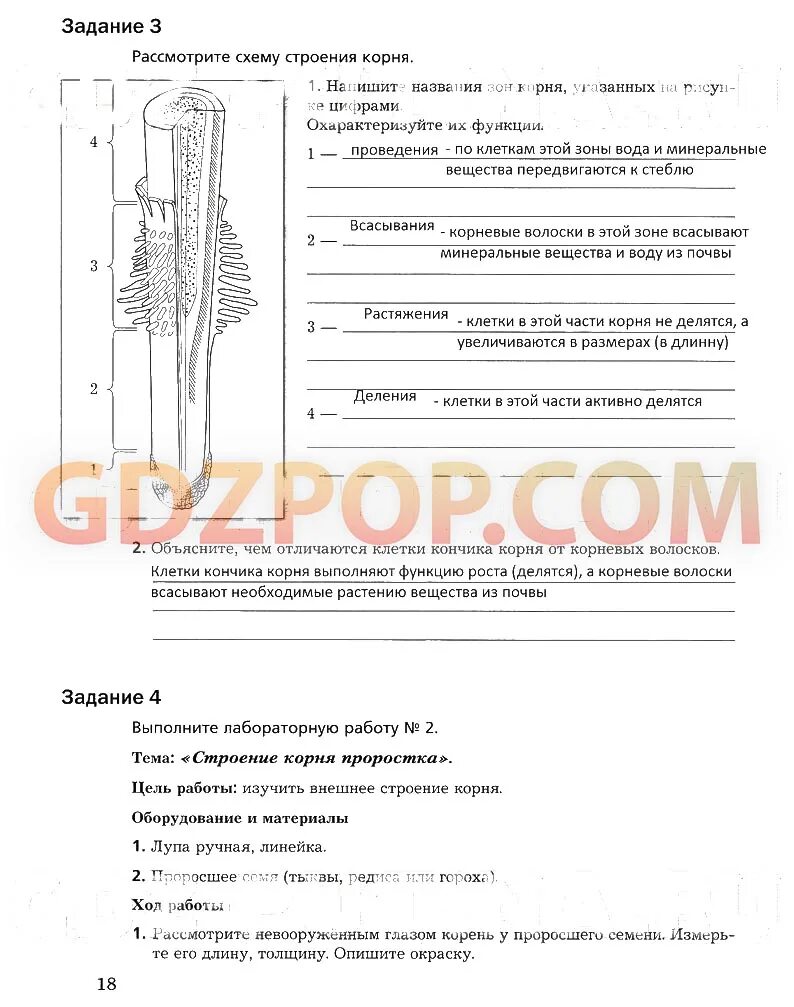 Биология 6 класс Корнилова Кучменко. Биология 6 Пономарева Кучменко Корнилова учебник. Биология тесты 6 класс Пономарева. Задания по биологии 6 класс Пономарева. Биология 6 класс пономарева корнилова ответы