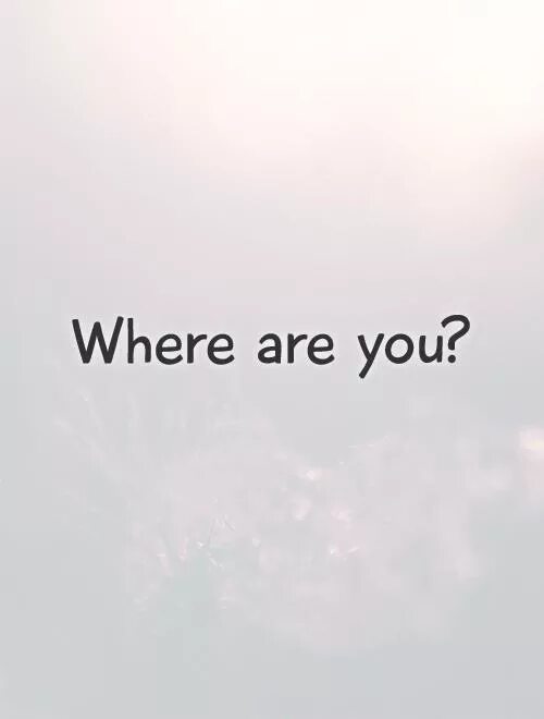 Песня where are you. Where are you. where are you картинки. текст we are you. where are you обложка.