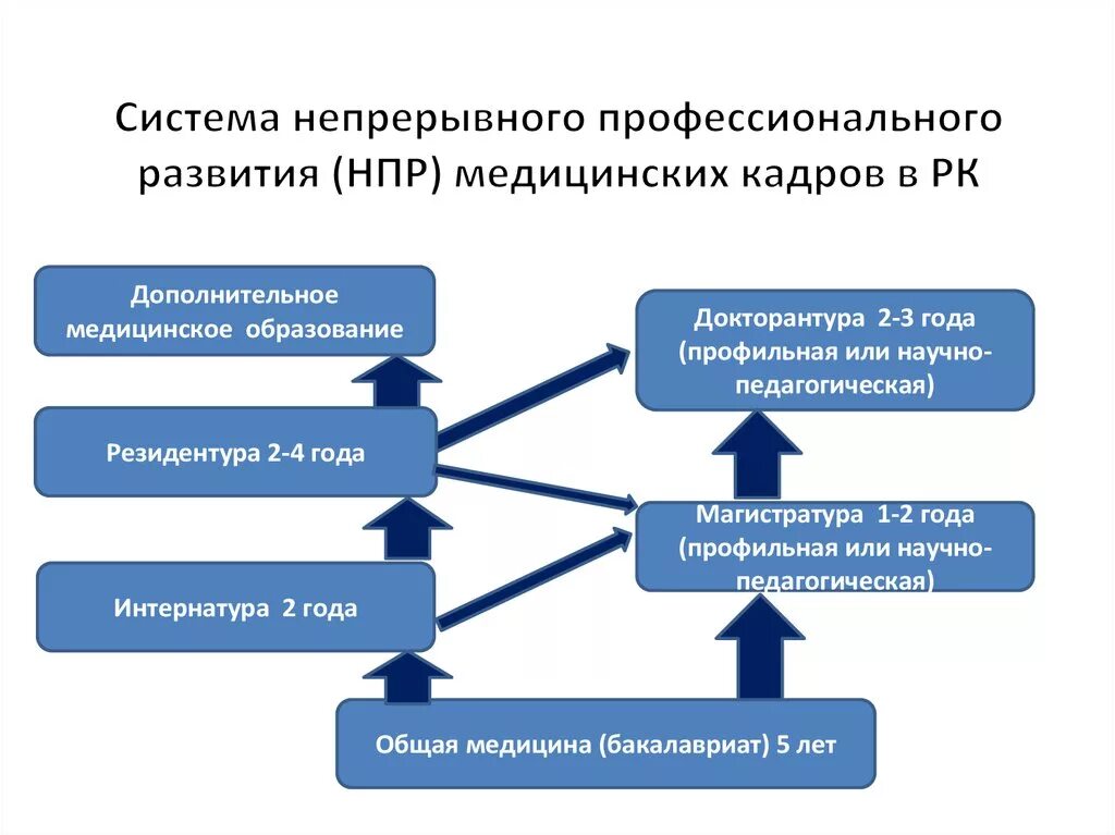 Структура медицинского образования. Непрерывное образование. Непрерывное профессиональное развитие. Система непрерывного медицинского образования.