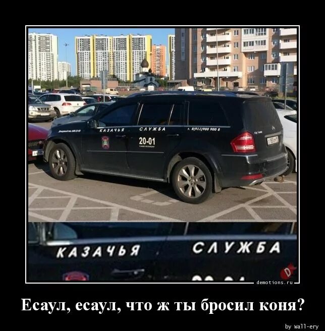 Есаул есаул что ты бросил коня. Есаул мем. Железный конь. Есаул чтож ты бросил коня. Песня есаул что ты бросил коня.