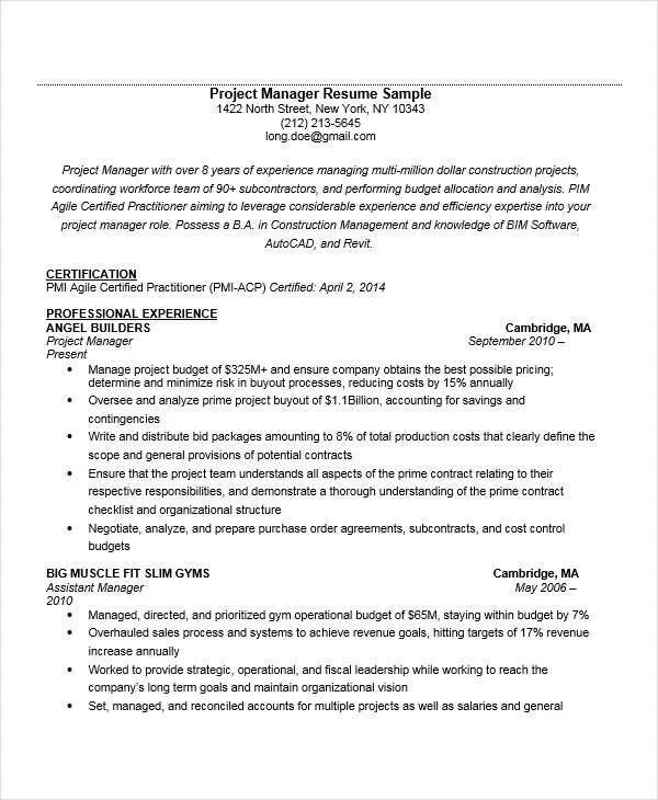 Cv project. Резюме project manager. резюме менеджера проектов. project manager resume. резюме проектного менеджера.