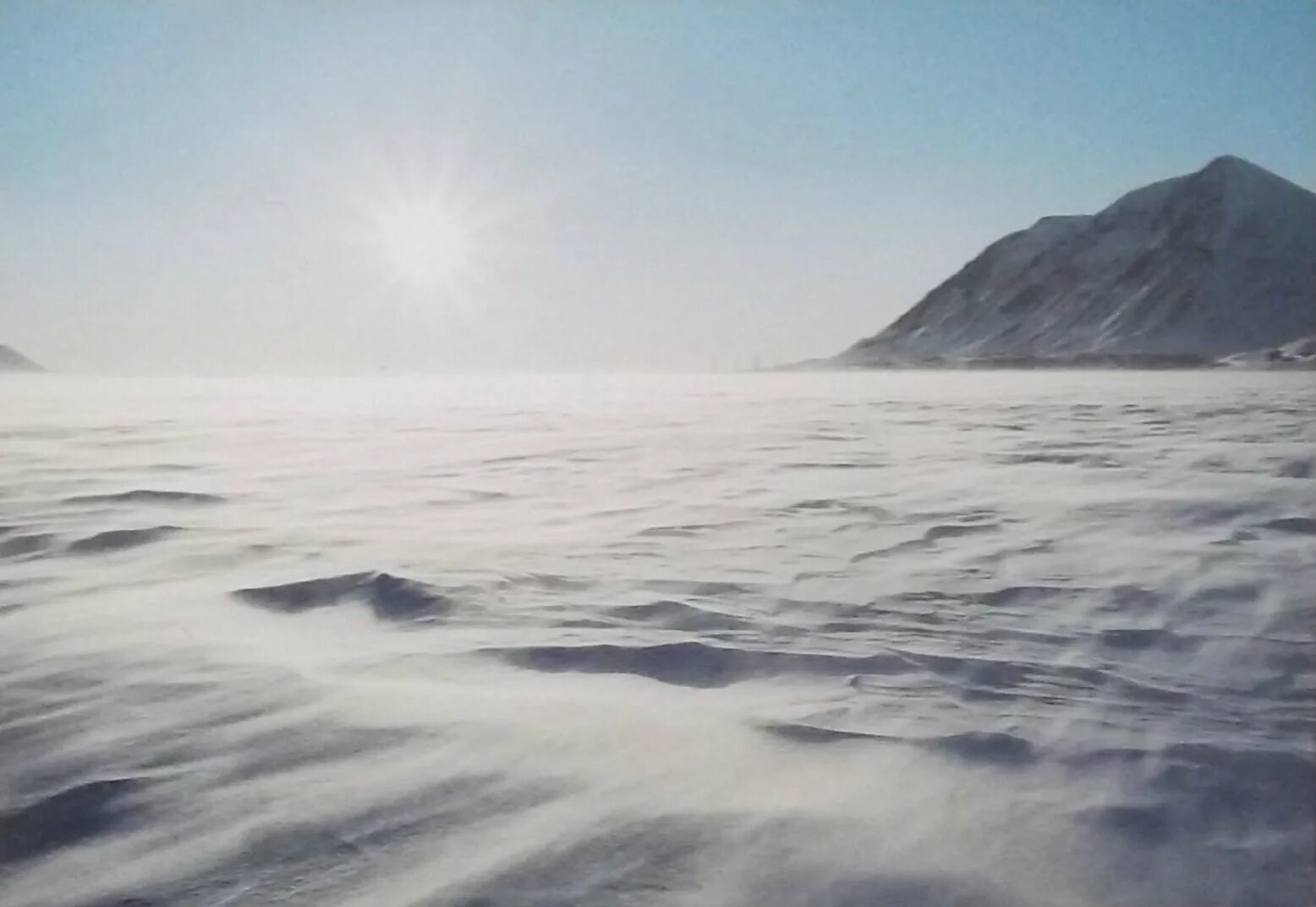 Метель вьюга пурга буран. Оймякон полюс холода. Край северных ветров. Северный ветер. Ямальская тундра чум.