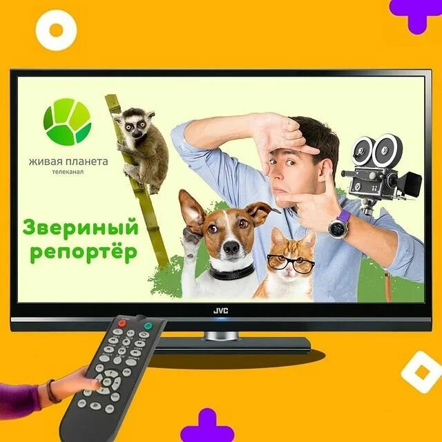 Телесеть плюс дубна официальный сайт. Телесеть интернет. Звериный репортер живая планета. Телесеть плюс дубна. Телесеть плюс дубна.