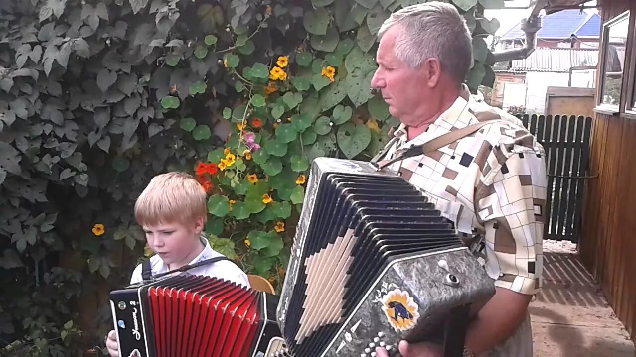 Бабушка с баяном. Пляски под гармонь. Дед с гармошкой. Плясовая под гармонь.