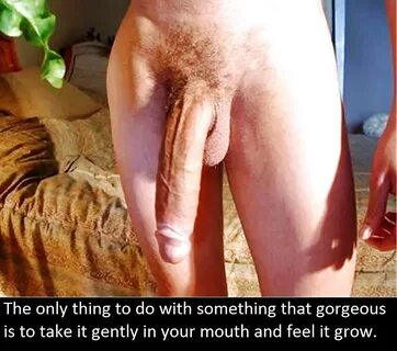 and the big moroccan cock of superior moroccan men bilder xhamster com, the ...