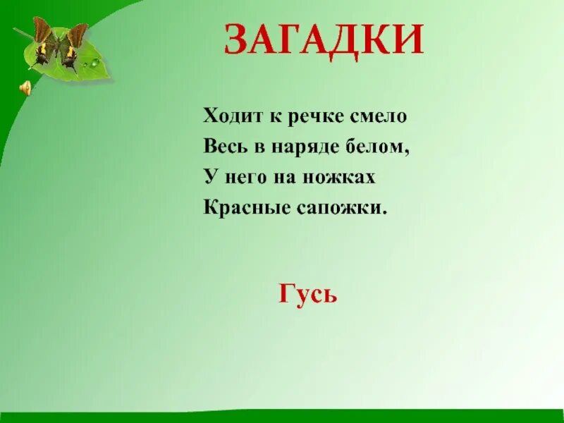 Загадки. Загадки для 5 класса. Загадки без отгадок. Маленькие загадки.