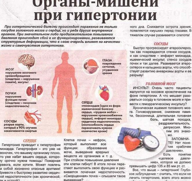 Повышается давление. Поражение органов мишеней при артериальной гипертензии. При гипертонической болезни поражаются органы мишени. Гипертоническая болезнь поражение органов мишеней. Поражение сосудов при гипертонической болезни.