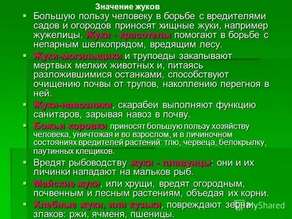 Значение жесткокрылых