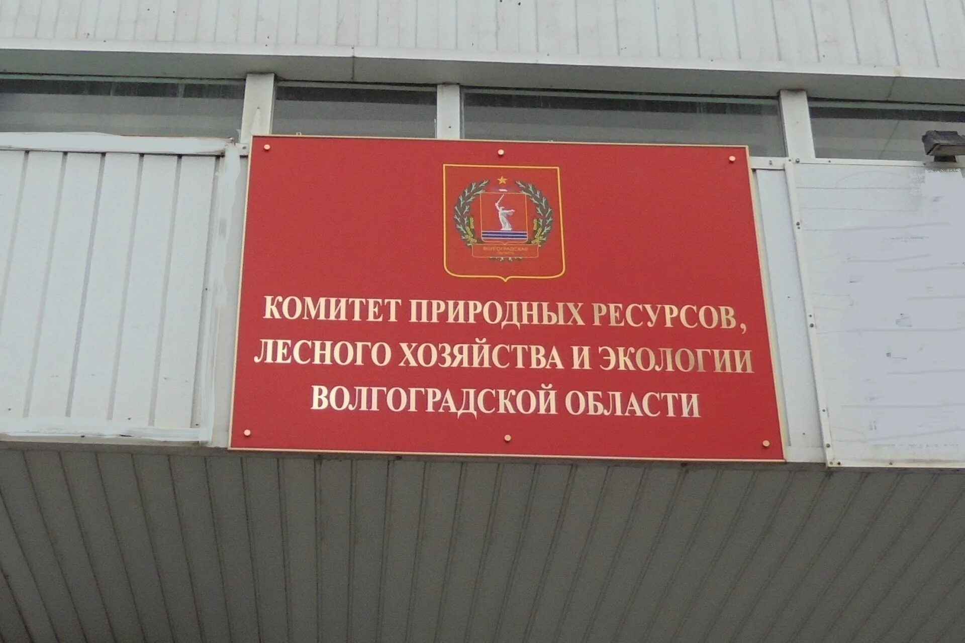 Комитет по управлению имуществом волгоградской. Комитет лесного хозяйства Волгоградской области. Комитет природных ресурсов Волгоградской области. Волгоградский лесхоз комитета природных ресурсов. Комитет природных ресурсов, лесного хозяйства и экологии.