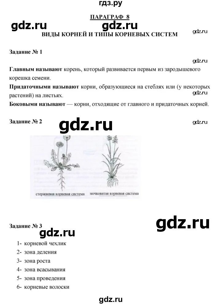 Биология 8 класс пасечник параграф 8 кратко. Биология 8 класс пасечник параграф 8 кратко. Биология 7 класс пасечник параграфы 29-31 раздел ,,подумайте,,. Биология 8 класс пасечник параграф 8 кратко. Биология 8 класс 8 параграф.