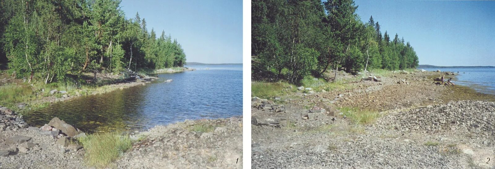 Приливы залив терпения. Белое море приливы и отливы. Приливы белое море Кандалакша. Отлив на белом море. Приливы и отливы Соловецкие острова.