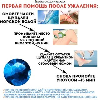 Как оказать первую помощь при ожоге медузы