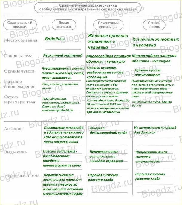 Таблица сравнения плоских червей Ресничные сосальщики ленточные. Таблица плоские черви 7 класс биология характеристика. Таблица по биологии 7 класс плоские черви. Таблица сравнительная характеристика типов червей плоские черви. Сравнение строения червей