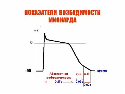 Возбудимость миокарда