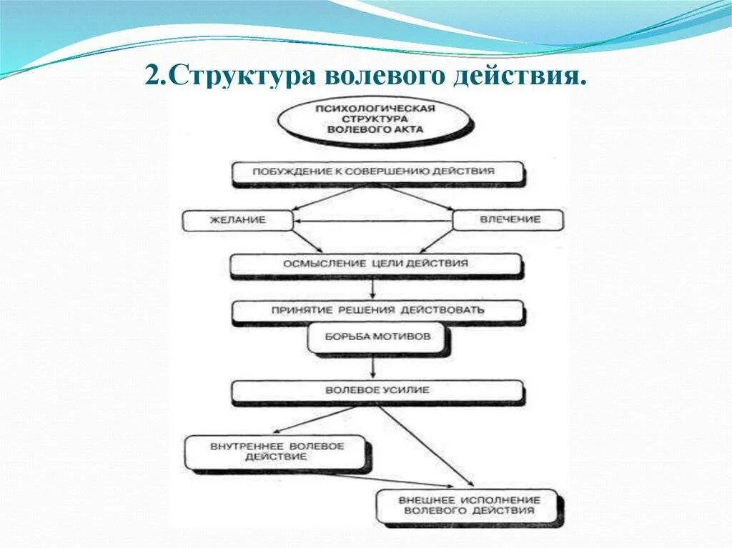 структура поведения. психологическая структура поведения. психологическая структура поведения. особенности поведения человека. психология личности таблица.