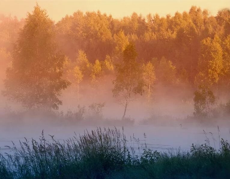 Туман. Осенний туман. Туман осенью. Туманная осень. Песня остался туманы