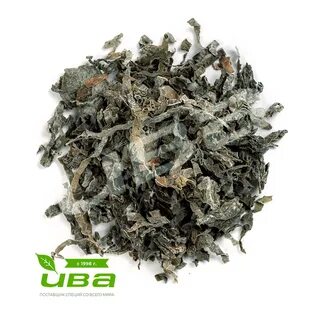 Морская капуста оптом
