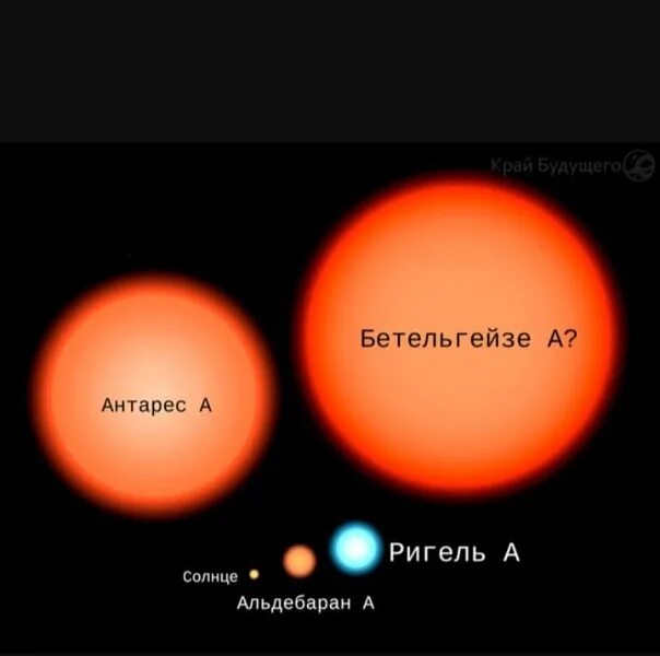 Где больше солнца. Солнце Сириус Альдебаран Бетельгейзе. Звезда-гигант Бетельгейзе. Красный гигант звезда Бетельгейзе. Бетельгейзе звезда и солнце сравнение.