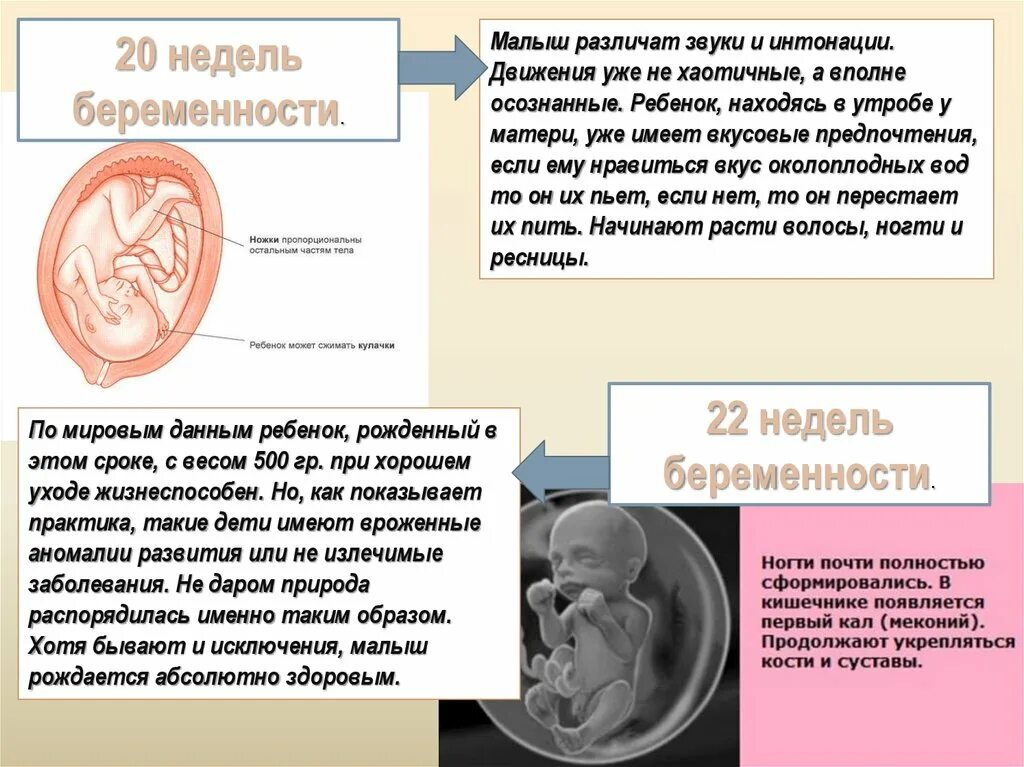 Малыш на 20 неделе беременности. Малыш на 19-20 неделе беременности. Ребёнок в 20 недель беременности. Вес плода в 19 недель беременности. Шум в утробе матери