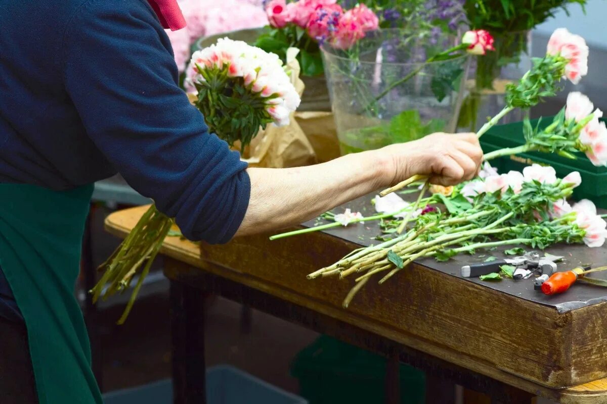 Калла комнатное растение. Гипсофила рижский рынок. Помощник флориста. Куп «дэп г. Работницы в цветочном магазине.