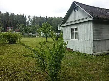 Снт медик