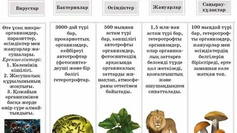 Орыс әйелдің клиторын жалау