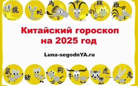 Гороскоп на 2025 год по восточному календарю
