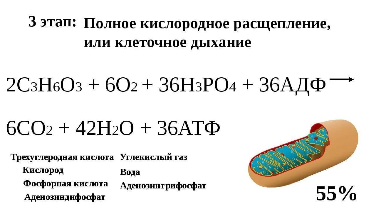 C3h6 o2 co2 h2o