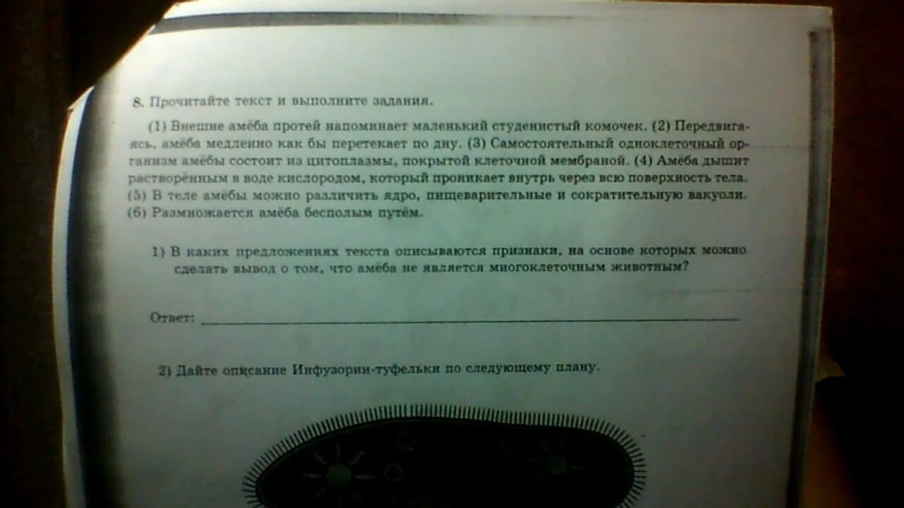 Кактусовый сыч впр 5 класс. В каких предложениях текста описываются признаки. Физиологические признаки картофеля. В каких предложениях тексте описываются экологические признаки. В каких предложениях текста описываются экологические признаки пчел.