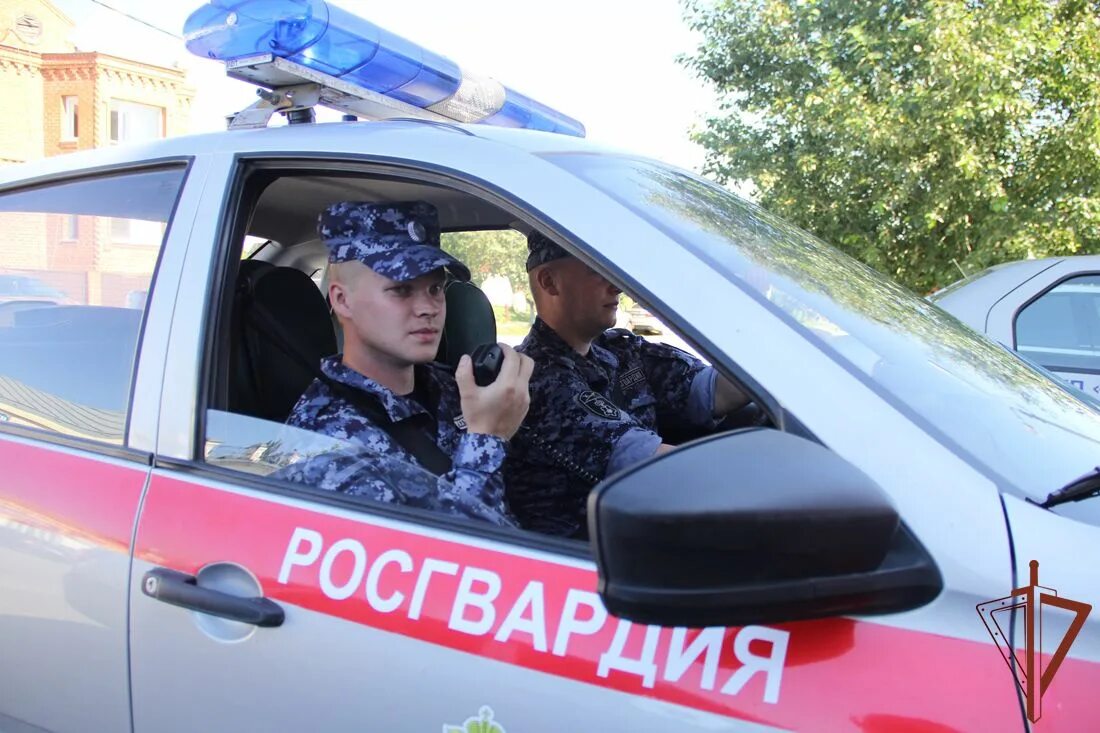 Росгвардия саратов. Росгвардеец телеграмм. Росгвардеец телеграмм. Охрана авто росгвардией. Росгвардеец телеграмм.
