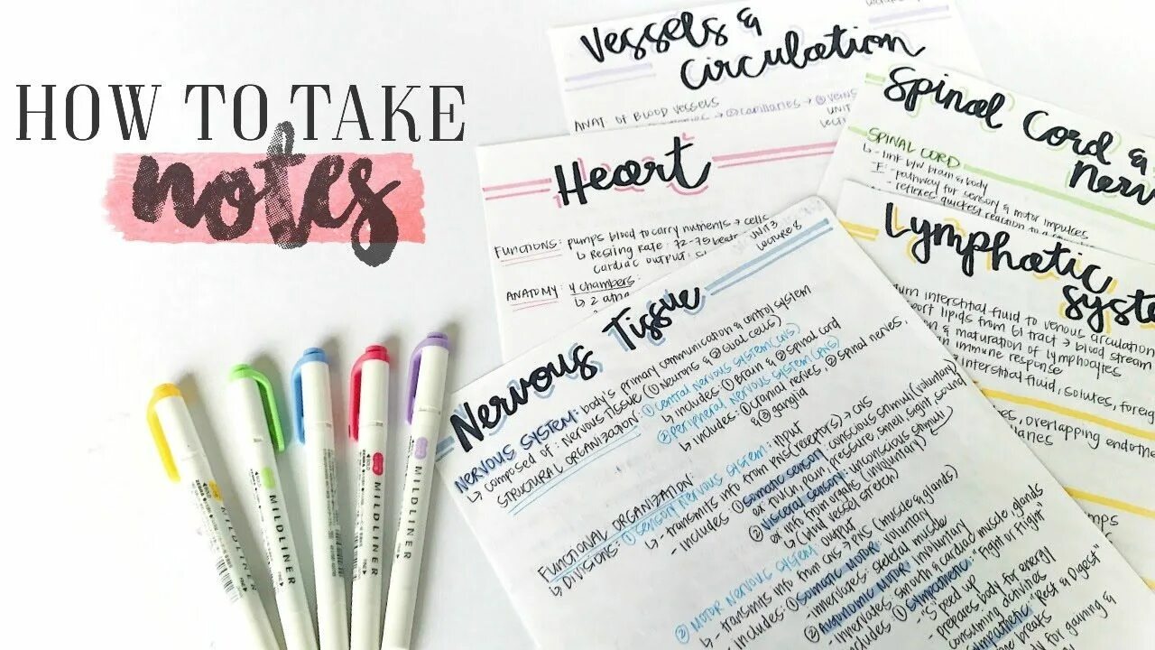 To make note. How to take notes. how to study effectively. to make notes. taking notes.