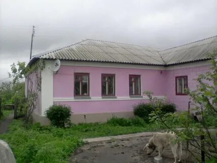 Авито хлевное