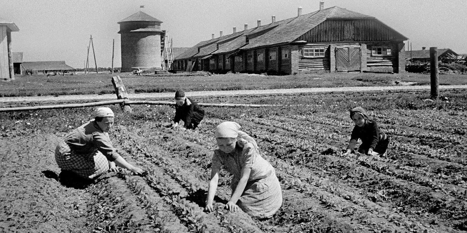 На городе колхоз. Колхозы в годы войны 1941-1945. подвязье рязанская область колхоз в годы вов 1941-1945. дети на сельхозработах в годы вов 1941-1945. колхоз в годы войны.