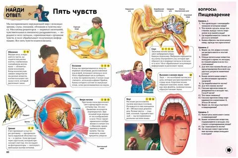 Какие 1000 вопросов