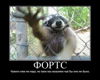 Чья возьмет
