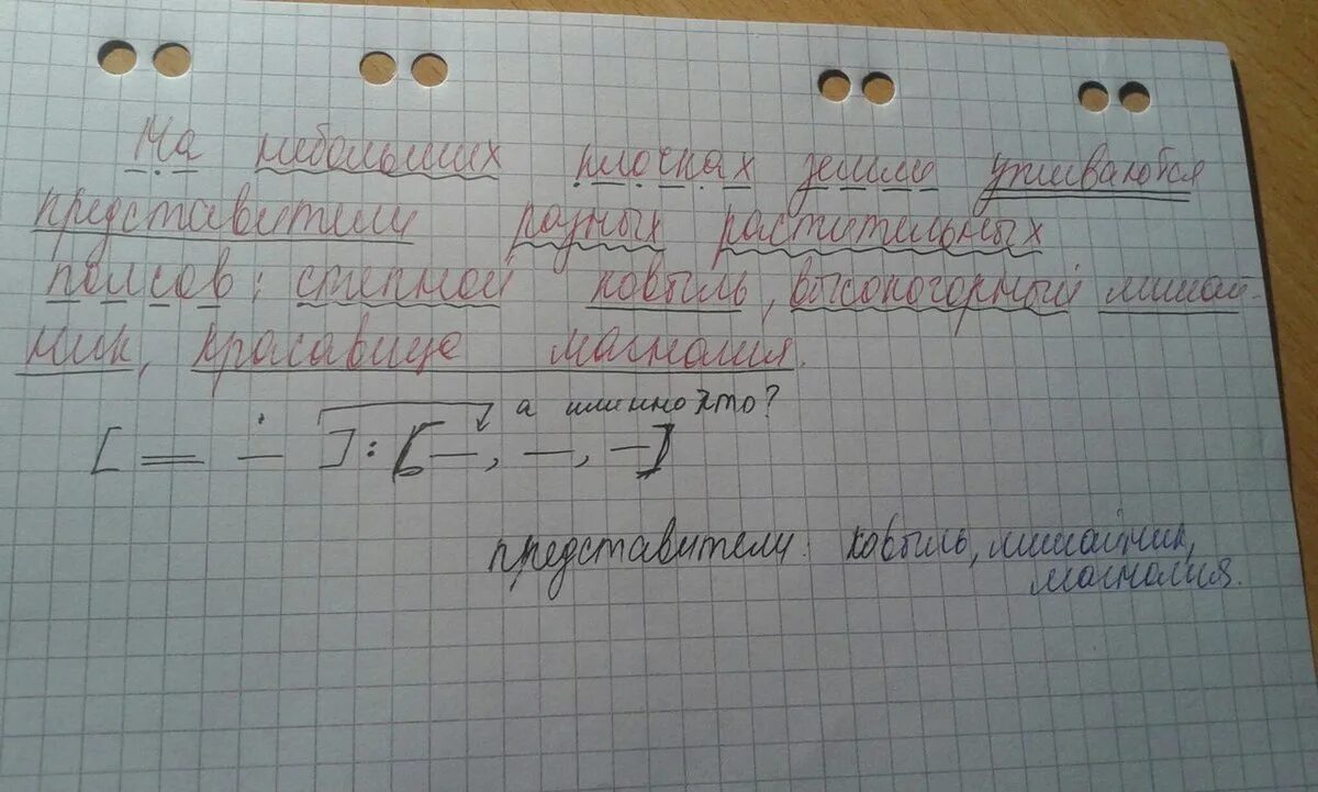 Синтаксический разбор предложения нежно голубые незабудки люди. Синтаксический разбор предложения. Синтаксический разбор памятка. Магнолия синтаксический разбор. Синтаксический разбор предложения в траве сидел кузнечик.