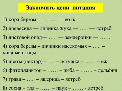 Пищевые цепи 9 класс биология презентация