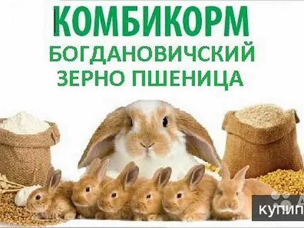Комбикорм богданович