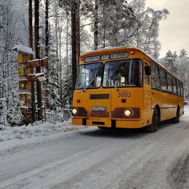 20 автобус люберцы дзержинский. ЛИАЗ 677 Ликинский. ЛИАЗ 677 сочлененный. ЛИАЗ-677 Березовский. ЛИАЗ 677 Яхромский.