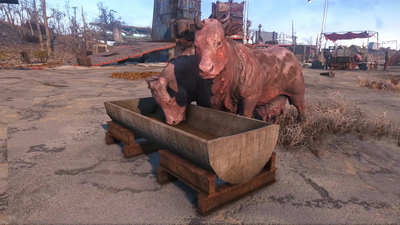 Fallout 4 зачем брамин