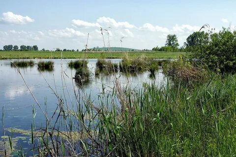 Советское алтайский край село урожайное
