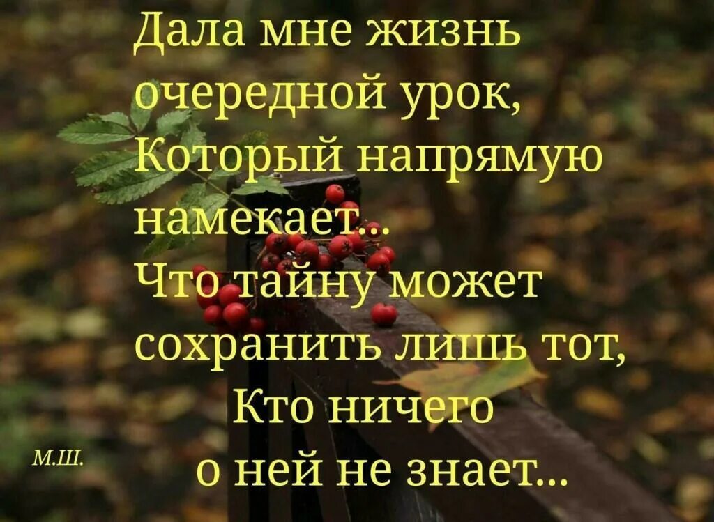 Давайте жить фразы