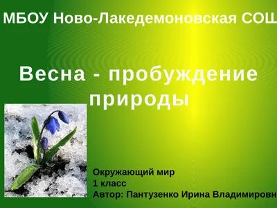 Весенняя страничка 3 класс русский язык проект