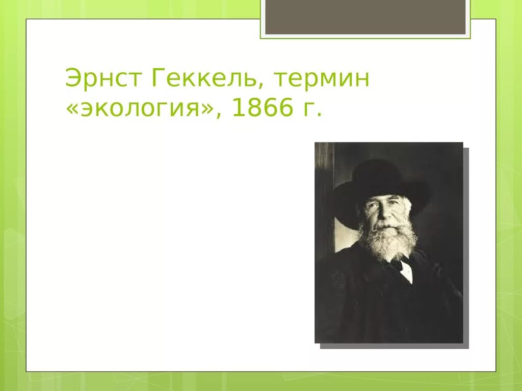 Эрнест геккель достижения. Биолог эрнст геккель. Эрнст генрих геккель экология. Геккель 1866. Эрнст генрих геккель вклад в экологию.
