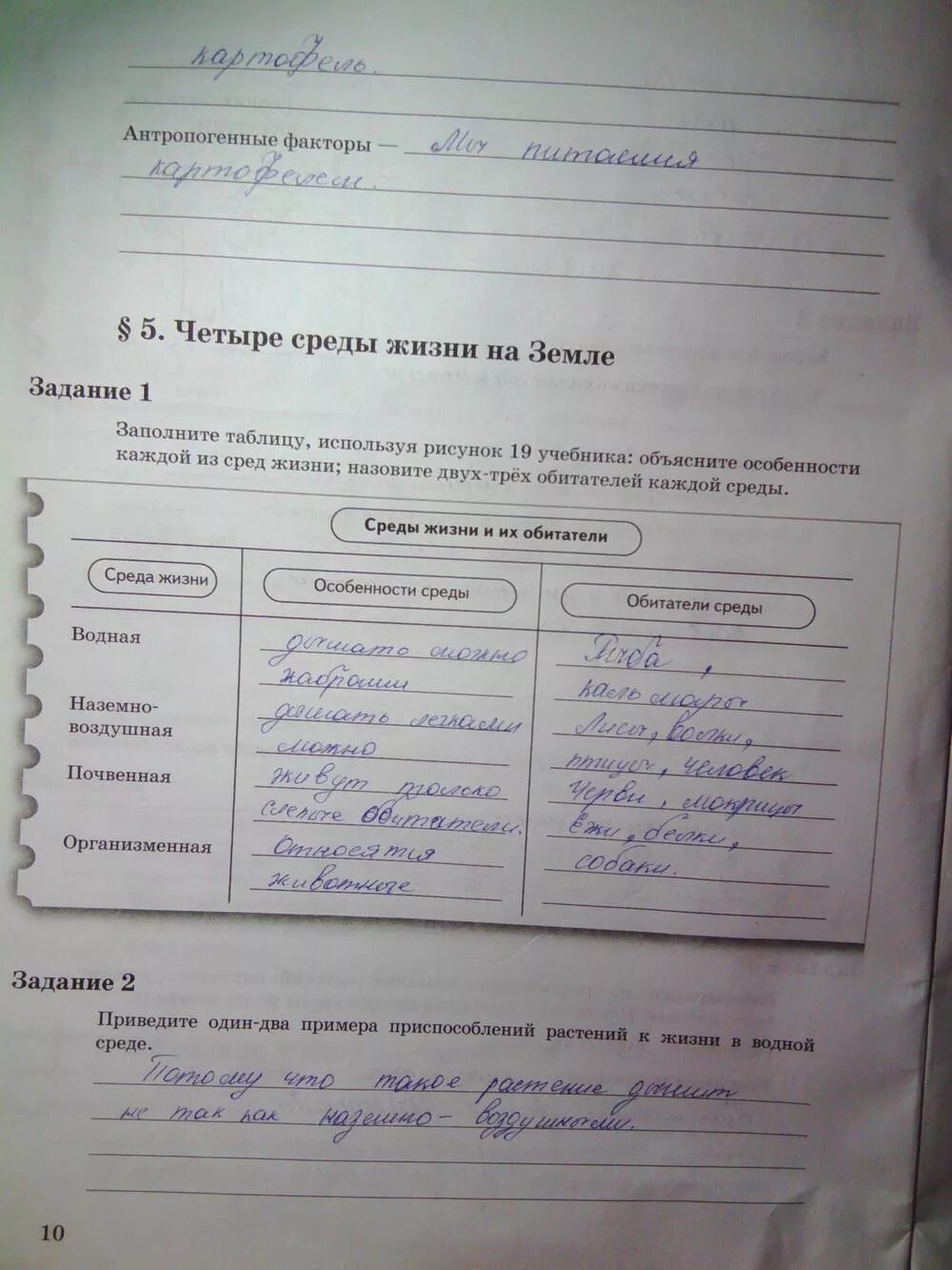 Биология 6 класс рабочая тетрадь 2023 год Shtampik.com