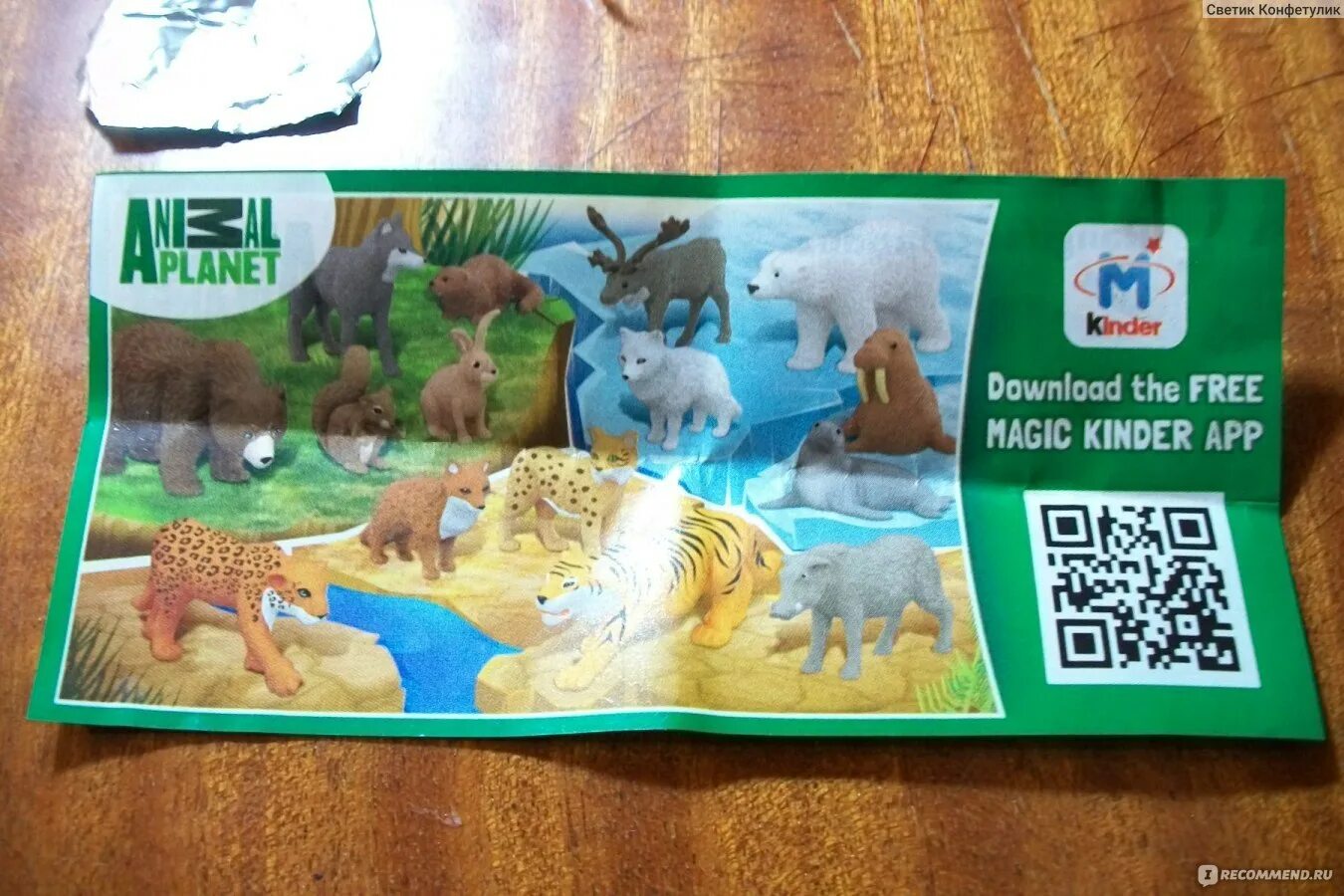 Сканировать qr киндер сюрприз. Мэджик киндер. magic kinder старая версия. magic kinder app. kinder magic app qr код.