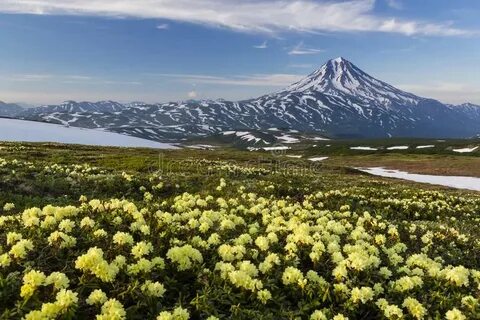 Пейзажи камчатки
